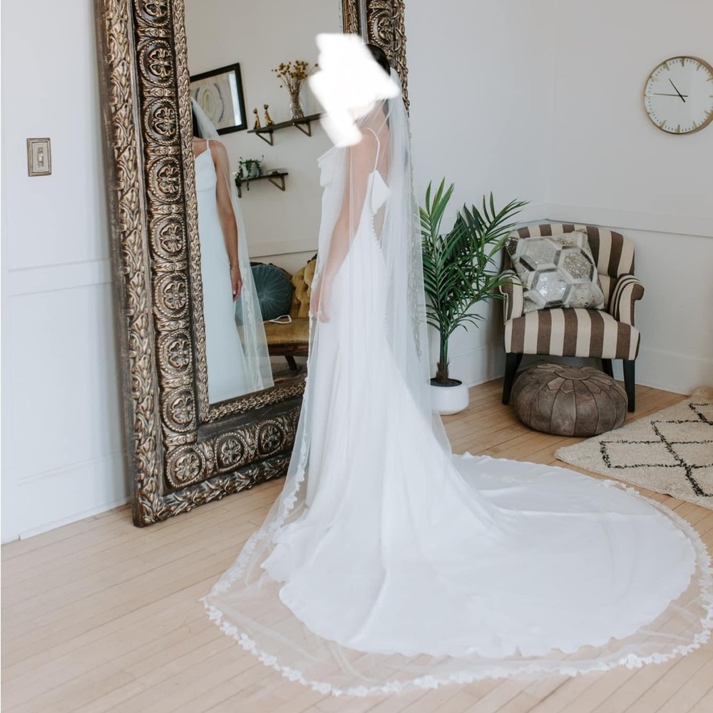 Used wedding dress—Pronovias Antiope